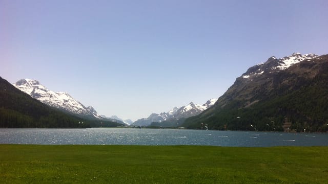 Blick über grüne Matten auf den blauen Silvaplanersee, darüber ein wolkenloser Himmel. Blick über grüne Matten auf den blauen Silvaplanersee, darüber ein wolkenloser Himmel.