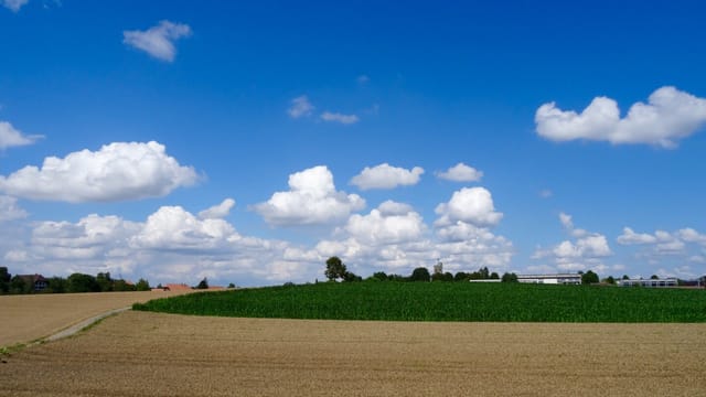 Quellwolken über gemähtem Kornfeld
