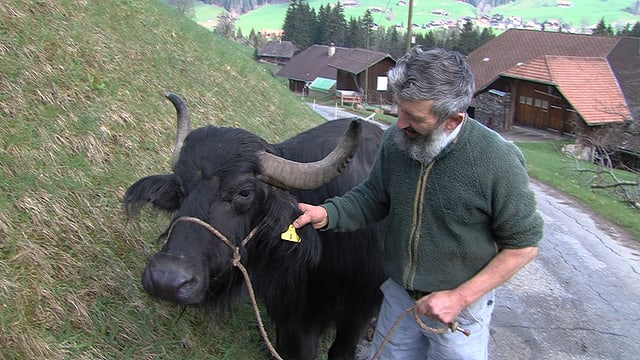 Video «Anders als die Väter -Schweizer Bauern setzen auf exotische Tiere» abspielen Video «Anders als die Väter -Schweizer Bauern setzen auf exotische Tiere» abspielen