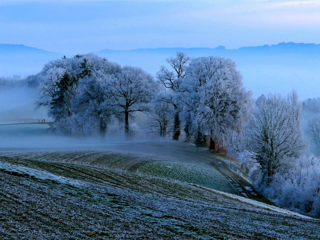 Raureif sorgt für Wintergefühle.