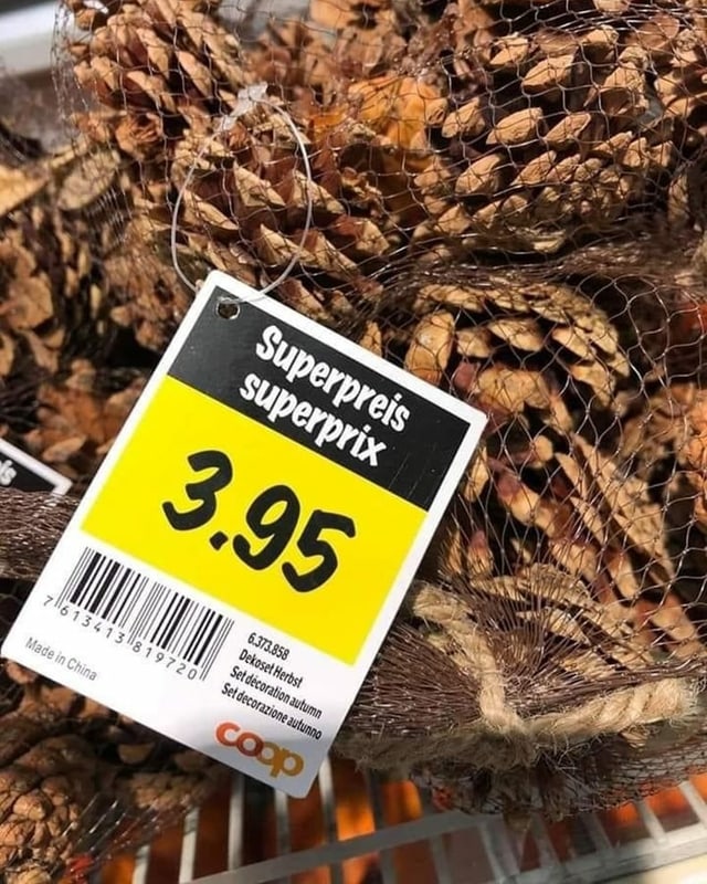 Coop Tannenzapfen aus China Coop Tannenzapfen aus China
