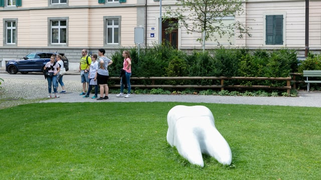 Ein übergrosser Zahn liegt auf einer Wiese. Ein übergrosser Zahn liegt auf einer Wiese.