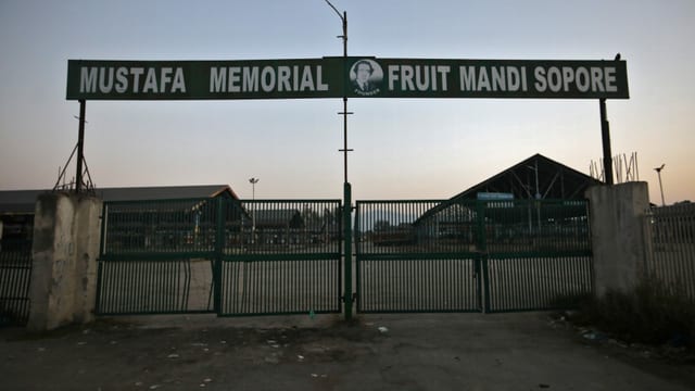Mandi. Mandi.