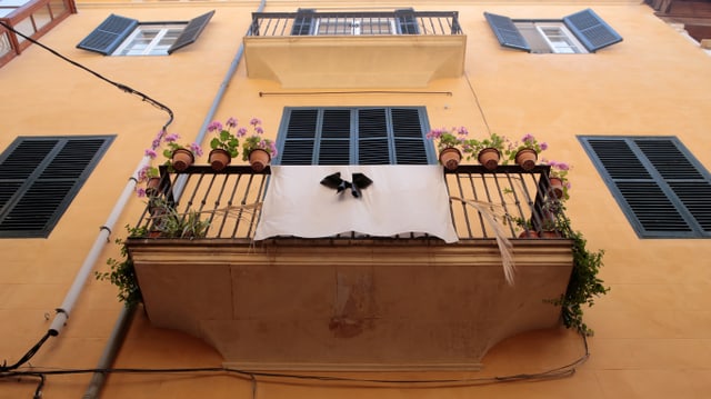 Balkon in der Altstadt von Palma Balkon in der Altstadt von Palma