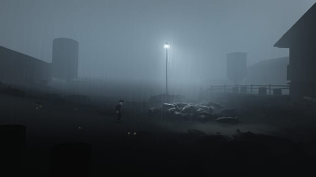 Tote Schweine, verlassener Bauernhof, Regen. Tote Schweine, verlassener Bauernhof, Regen.