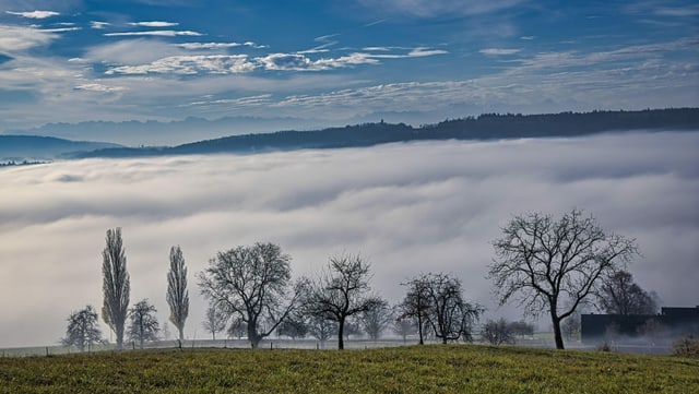 Blick vom Waldrand ob Nussbaumen über grüne Felder auf das Nebelmeer über dem Limmattal. Blick vom Waldrand ob Nussbaumen über grüne Felder auf das Nebelmeer über dem Limmattal.