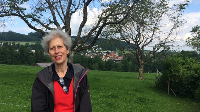 Frau vor einem Apfelbaum. Frau vor einem Apfelbaum.