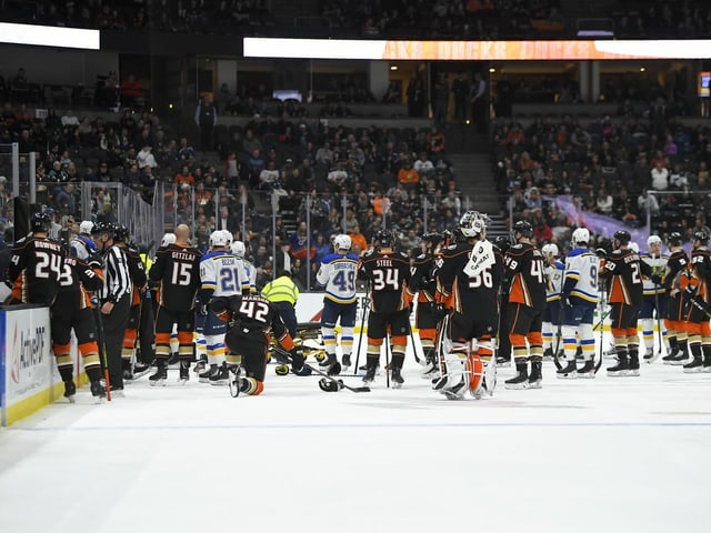 Spieler der St. Louis Blues und Anaheim Ducks. Spieler der St. Louis Blues und Anaheim Ducks.