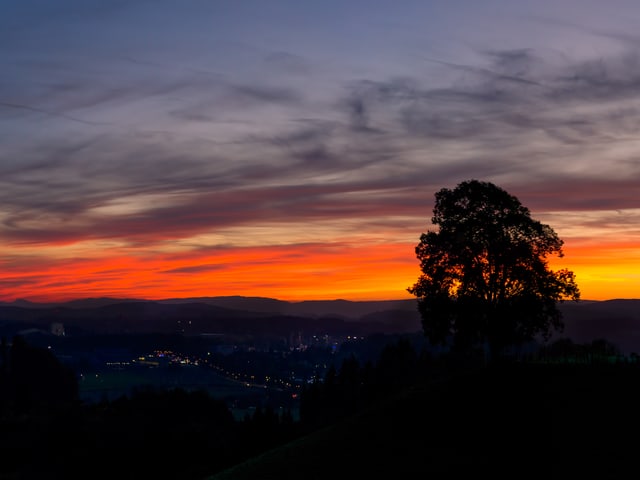 Wunderbare Farben am Himmel, im Vordergrund ein Baum.