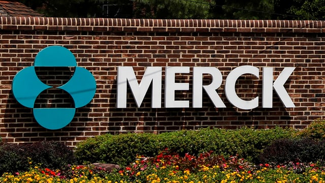 Logo von Merck MSD in Amerika Logo von Merck MSD in Amerika