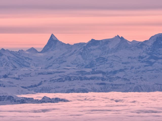 Bild in rosa Tönen, unten Nebelmeer, dahinter Schneeberge und der Himmel ist milchig und leuchtet auch lila.
