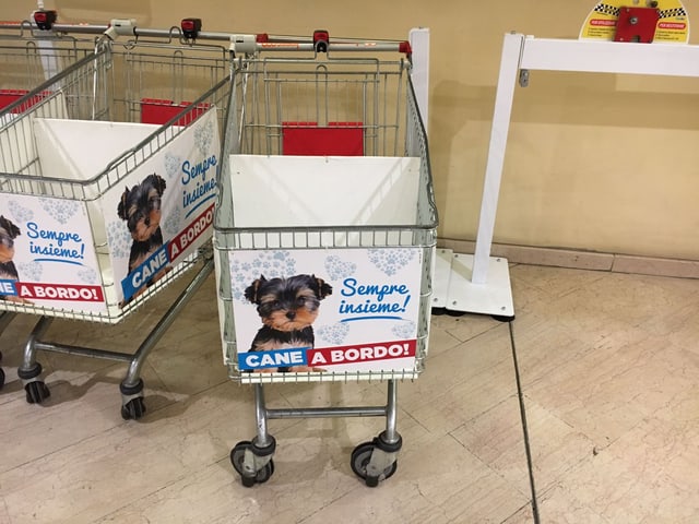 Einkaufswagen mit Korb für Hundetransport. Einkaufswagen mit Korb für Hundetransport.
