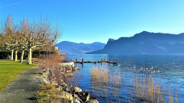 Blick in Hergiswil auf den Vierwaldstättersee und einen wolkenlosen Himmel. Blick in Hergiswil auf den Vierwaldstättersee und einen wolkenlosen Himmel.