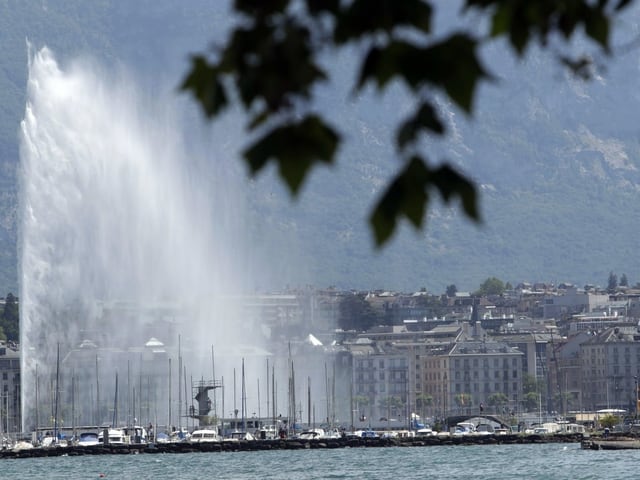 Brunnen in Genf. Brunnen in Genf.