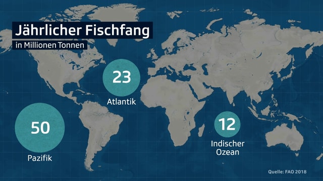 Heutzutage werden die meisten Fische im Pazifik gefangen. Das Mittelmeer ist kaum rentabel. Heutzutage werden die meisten Fische im Pazifik gefangen. Das Mittelmeer ist kaum rentabel.