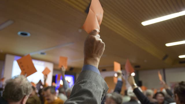 Orange Stimmkarten werden in die Höhe gehalten. Orange Stimmkarten werden in die Höhe gehalten.