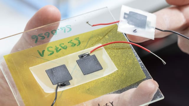 Die Batterie der Zukunft? Biologisch abbaubare Stromlieferanten Die Batterie der Zukunft? Biologisch abbaubare Stromlieferanten