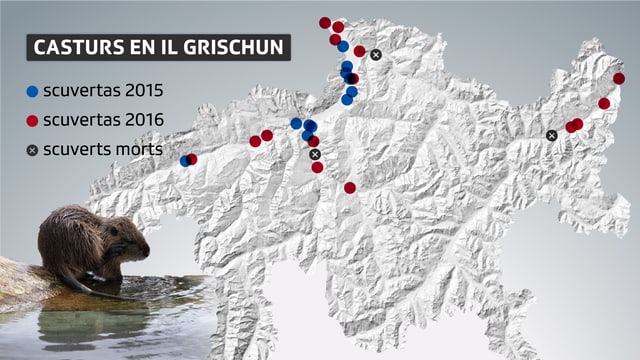 La grafica da scuvertas en Grischun La grafica da scuvertas en Grischun