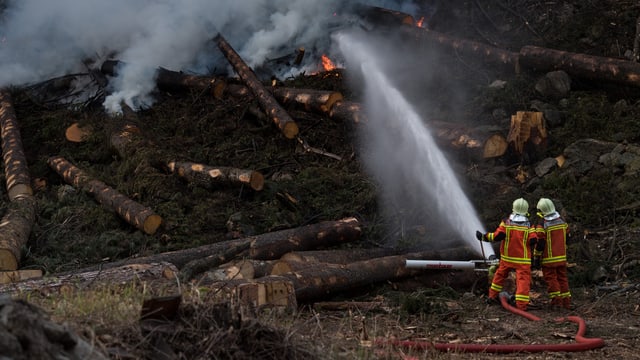Feuerwehrmänner löschen brennendes Holz. Feuerwehrmänner löschen brennendes Holz.