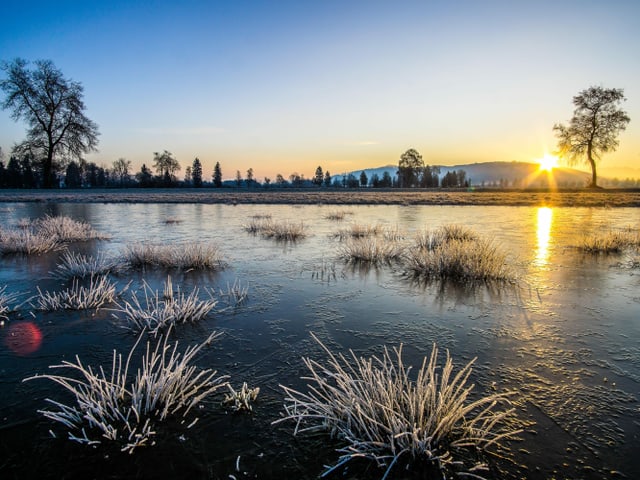 Sonnenaufgang über einem vereisten Teich.