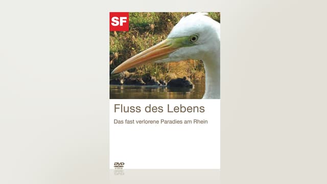 Fluss des Lebens Fluss des Lebens
