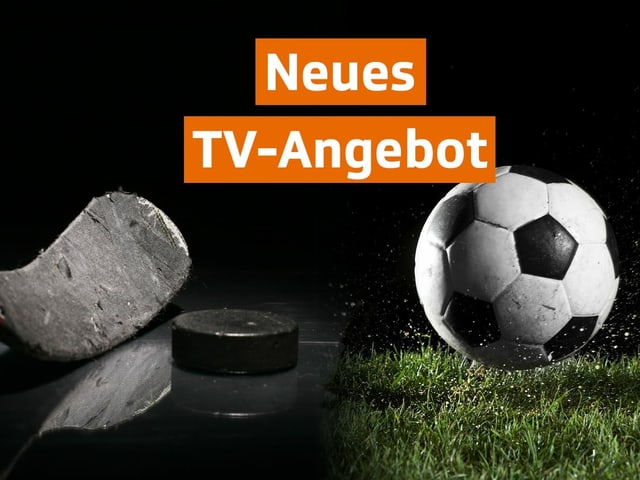 Symbolbild mit einem Puck und Ball. Symbolbild mit einem Puck und Ball.
