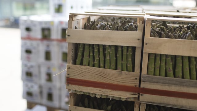 Spargeln in Verpackungen Spargeln in Verpackungen