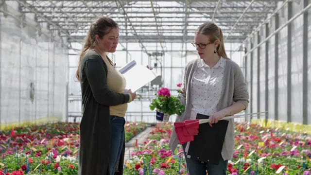 Zwei Frauen mit Geranien Zwei Frauen mit Geranien