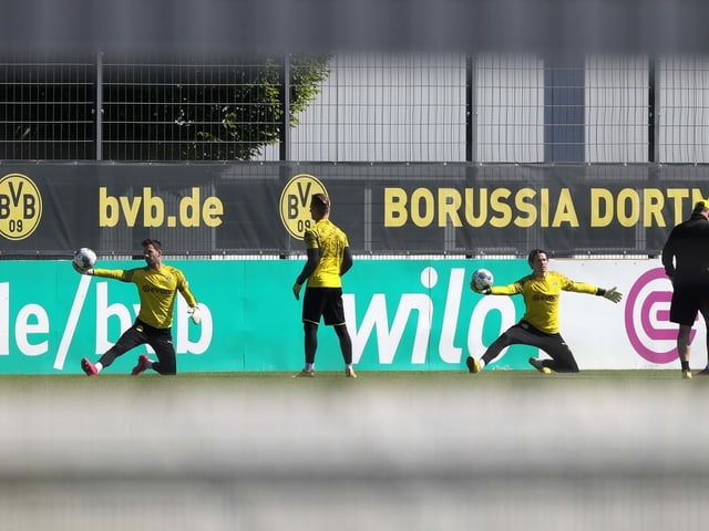Roman Bürki und Marwin Hitz.