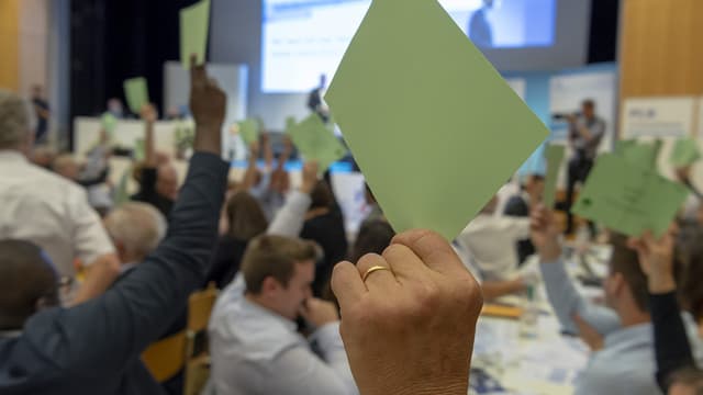 FDP-Delegierte stimmen ab FDP-Delegierte stimmen ab