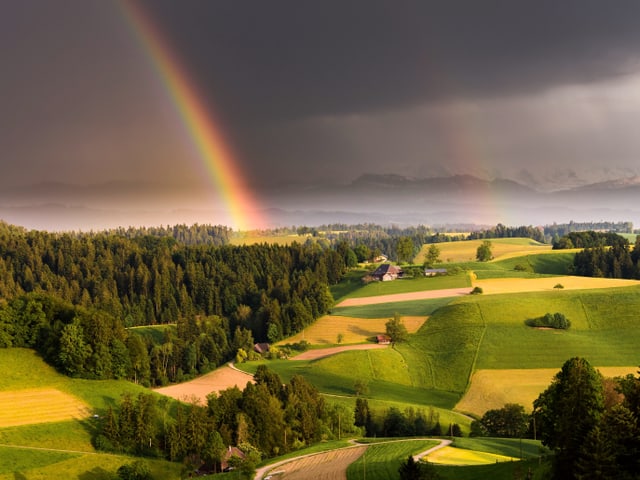 Regenbogen mit dunklen Wolken über einer grünen Hügellandschaft.