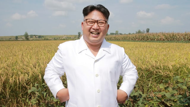 Kim steht vor einem Kornfeld und lacht. Kim steht vor einem Kornfeld und lacht.