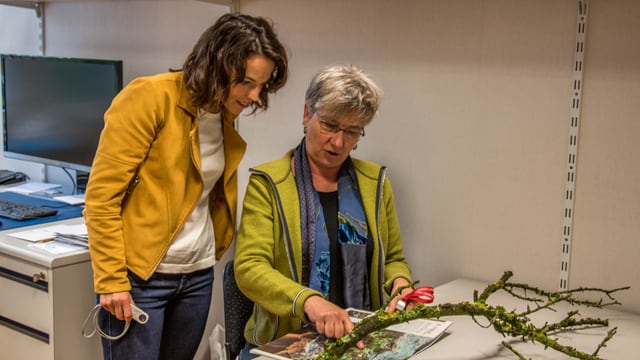 Flechtenkunde mit Frau Silvia Stofer, Biologin und Flechtenexpertin. Flechtenkunde mit Frau Silvia Stofer, Biologin und Flechtenexpertin.