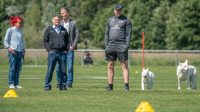 Das Ehepaar Canepa, Thomas Bickel, Ludovic Magin und die beiden Hunde Chilla und Kookie Das Ehepaar Canepa, Thomas Bickel, Ludovic Magin und die beiden Hunde Chilla und Kookie