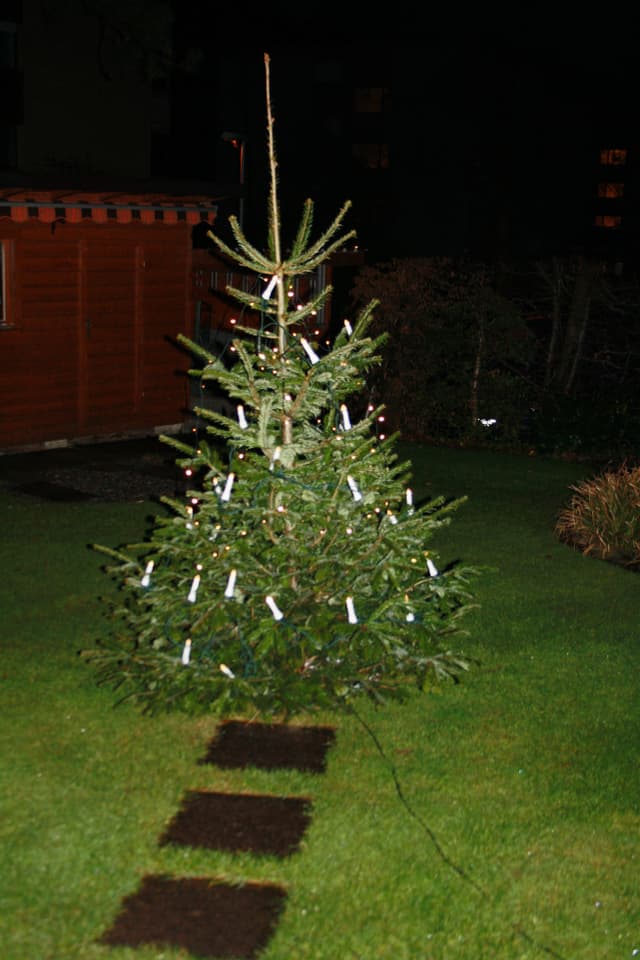 Christbaum am 25. Dezember in Glarus. Christbaum am 25. Dezember in Glarus.