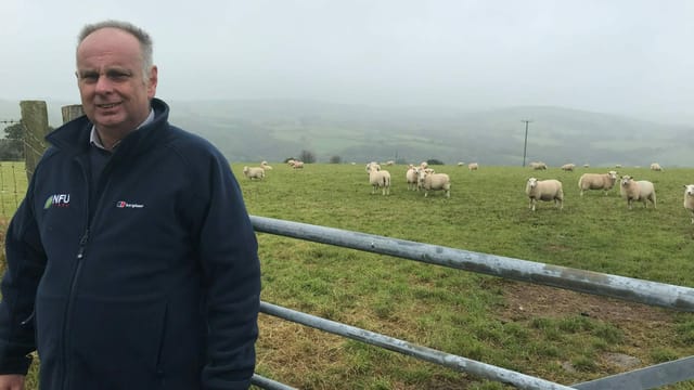 Wyn Evans vor dem Gatter zur Schaf-Weide. Wyn Evans vor dem Gatter zur Schaf-Weide.
