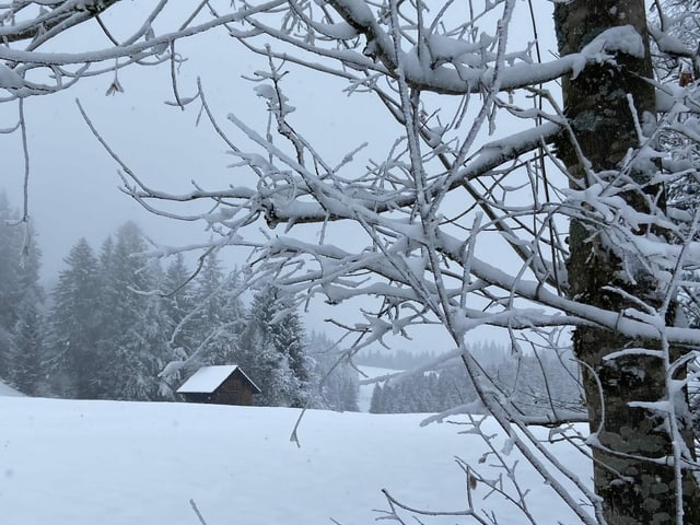 Schneelandschaft mit Wiese, Baum und Waldhäuschen.