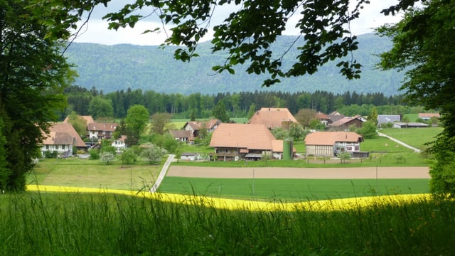 Bauernhäuser Bauernhäuser