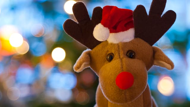 Rentier Rudolph Mit Rudolph The Red Nosed Reindeer Auf Zu Neuen Ufern Radio Srf Musikwelle Srf
