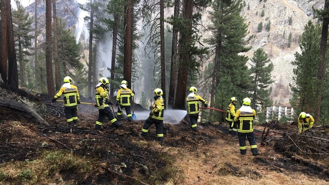 Pumpiers en acziun tar l'incendi en il guaud sur Puntraschigna. Pumpiers en acziun tar l'incendi en il guaud sur Puntraschigna.
