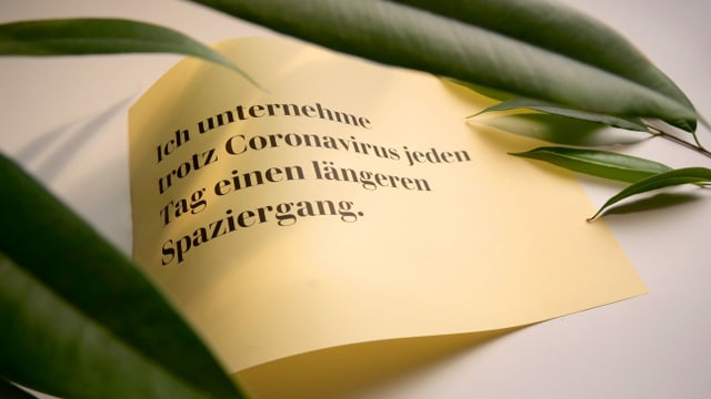 Pflanzen Pflanzen