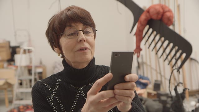 Video «Annette Messager: Begegnung mit der französischen Künstlerin» abspielen Video «Annette Messager: Begegnung mit der französischen Künstlerin» abspielen