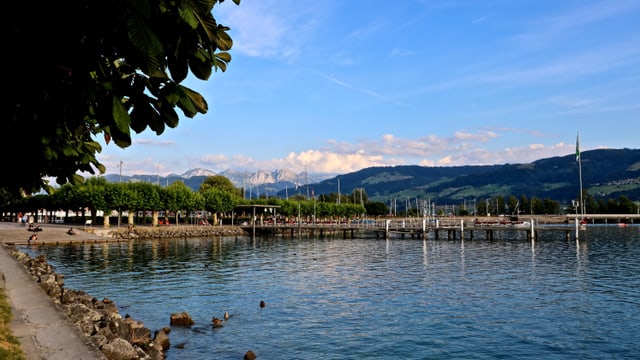 Blick auf den Hafen von Rapperwil. Blick auf den Hafen von Rapperwil.