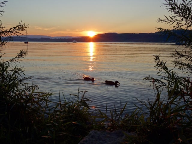Abendstimmung am Murtensee