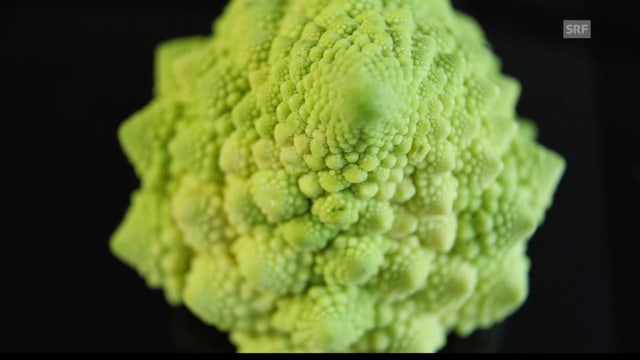 Das Gemüse Romanesco Das Gemüse Romanesco