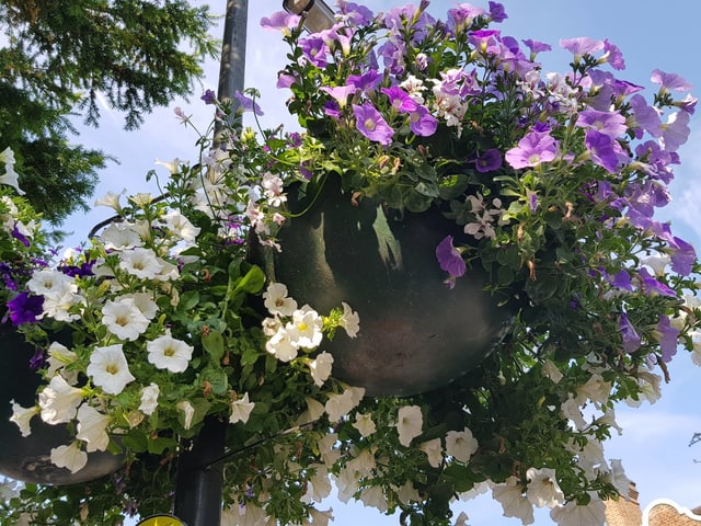 Die Blumen. Die Blumen.