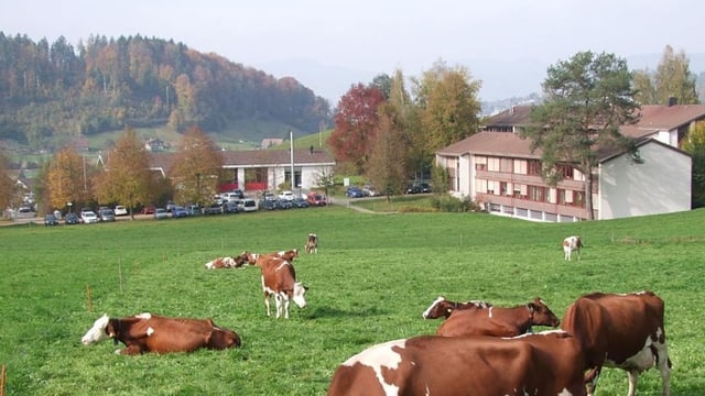 Der Bauernverband Aargau befürchtet wegen Asylbewerbern einen Imageschaden für die landwirtschaftliche Schule Liebegg. Der Bauernverband Aargau befürchtet wegen Asylbewerbern einen Imageschaden für die landwirtschaftliche Schule Liebegg.