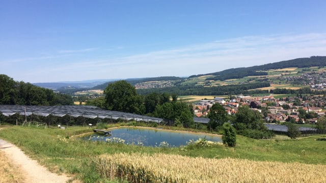 Blick auf die Plantage Blick auf die Plantage
