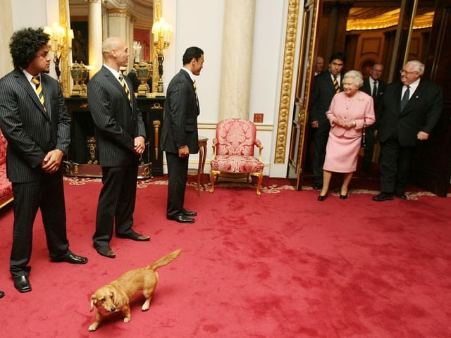 Die Queen kommt in einen Raum mit Männern. Vor ihr her geht ein Corgi-Hund. Die Queen kommt in einen Raum mit Männern. Vor ihr her geht ein Corgi-Hund.