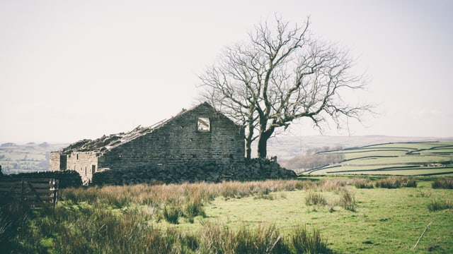 Die Ruine eines Hauses zwischen Feldern. Die Ruine eines Hauses zwischen Feldern.